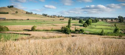 Mt-Broughton-Golf-4066-1240x828.jpg