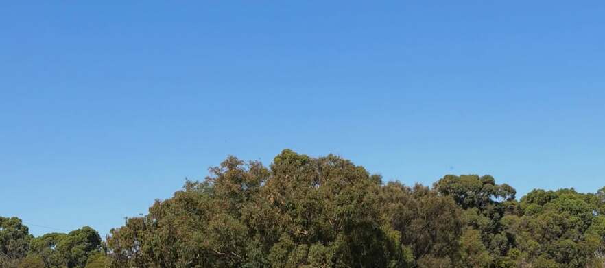 <b>Discover one of WA's Hidden Gems!</b> Stay and Play for Two at the South West's Premier Golf Course, Sanctuary Golf Resort. Includes Golf, Breakfast, Drinks, Range Balls & More!