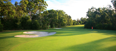 Avondale_10BackLow_8963.jpg