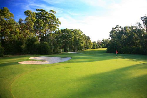 Avondale Golfer Classic 19th May 2027