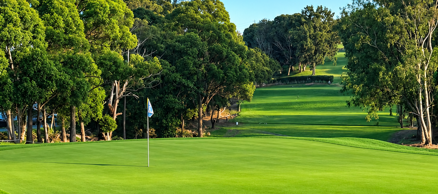 <b>Discover one of Sydney's Hidden Gems!</b> 18 Holes for FOUR at the <b>Beautiful Bexley Golf Club.</b> Includes Two Shared Motorised Carts. 