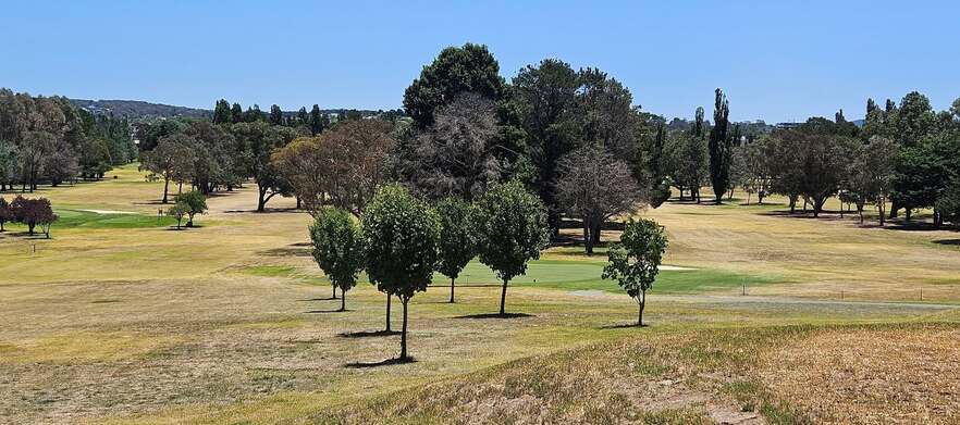 Tee Times | Goulburn Golf Club