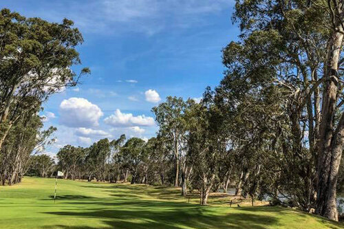 deal_4668-4.jpg