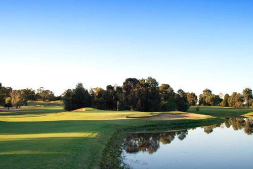 deal_4668-5.jpg
