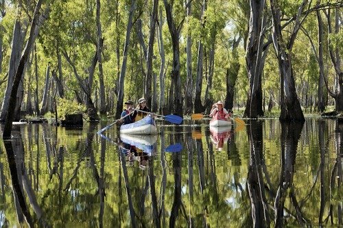 Barmah2.jpeg
